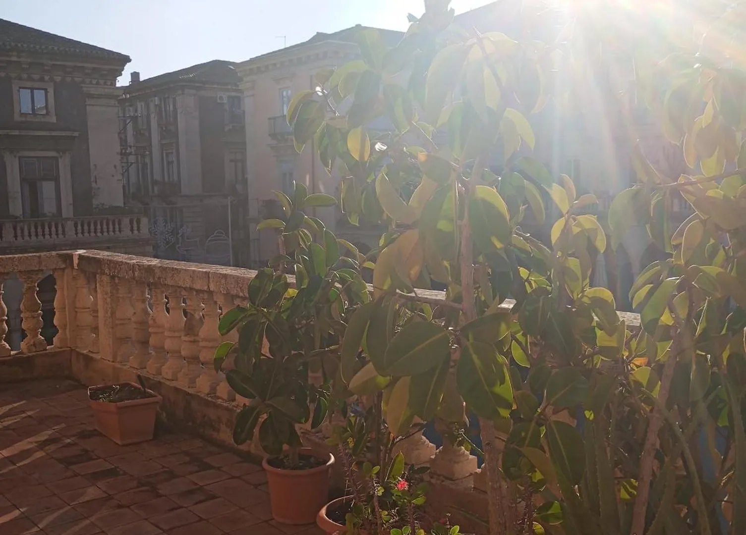 John Mary House Apartment Catania
